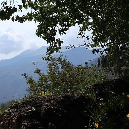 Μικρή Ζήρεια Ενοικιαζόμενη Κατοικία Synikia Mesi Trikalon Exterior foto