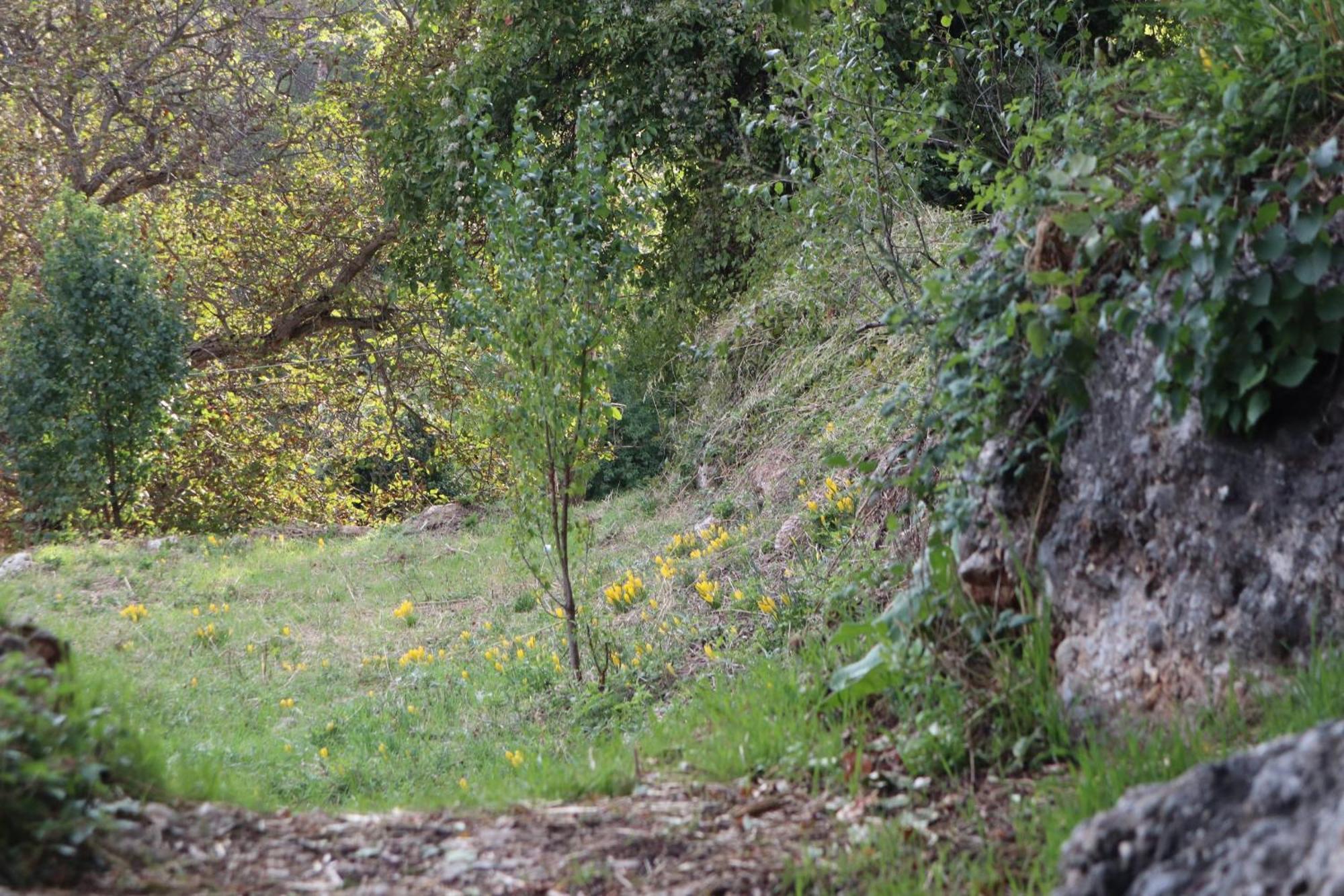 Μικρή Ζήρεια Ενοικιαζόμενη Κατοικία Synikia Mesi Trikalon Exterior foto