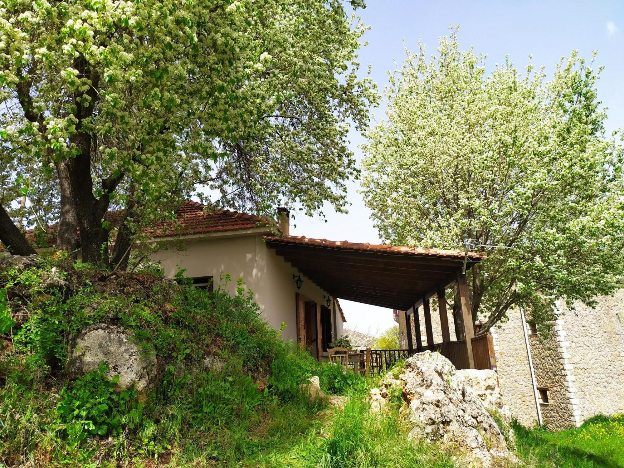 Μικρή Ζήρεια Ενοικιαζόμενη Κατοικία Synikia Mesi Trikalon Exterior foto